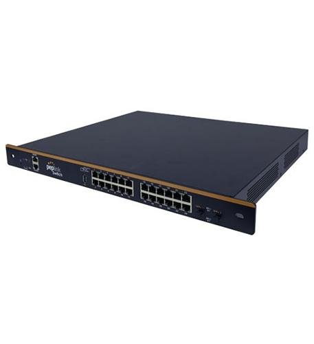 SD Switch 24-Port POE SWITCH 410 W