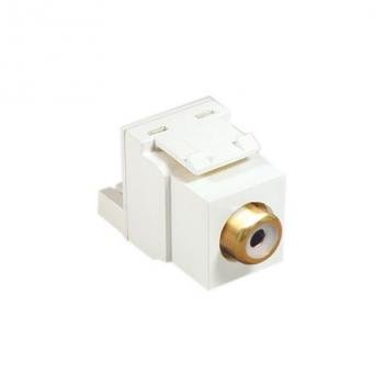 MODULE, RCA IDC, WHITE INSERT, WHITE